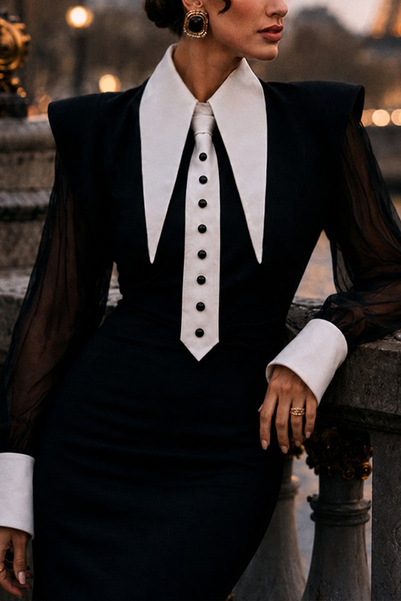 Women's Elegant Mesh Puff-Sleeve Shirts or Fishtail Skirt